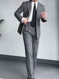 Grey Suit 06